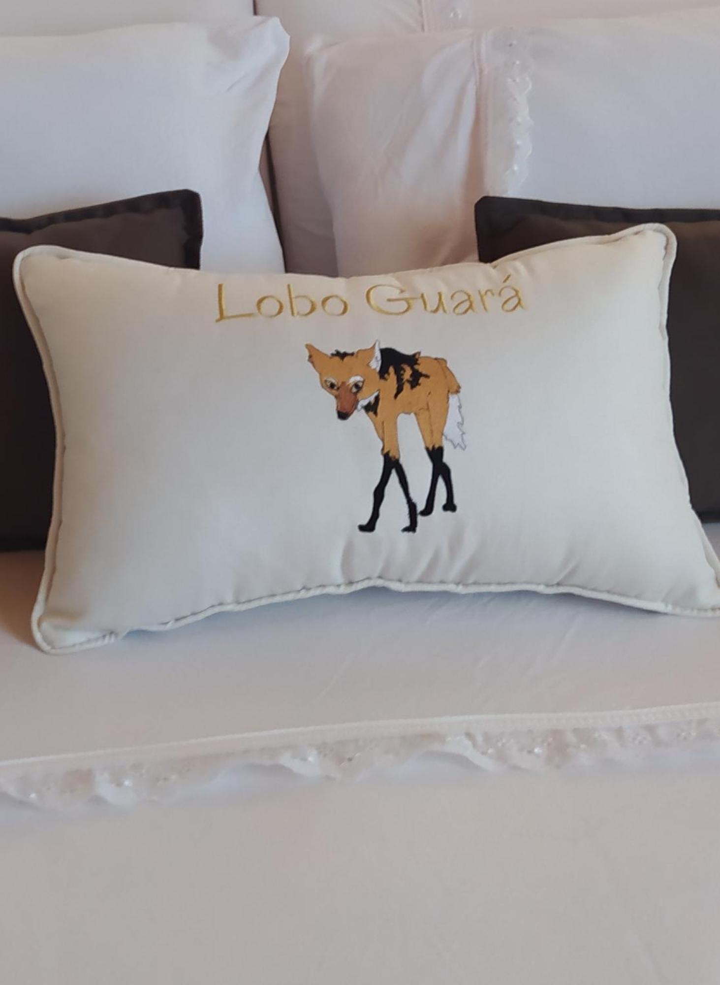 Lobo Guara Hospedagem Loft Alto Paraíso de Goiás Exterior foto